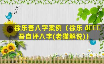 徐乐吾八字案例（徐乐 🍀 吾自评八字(老猫解说)）